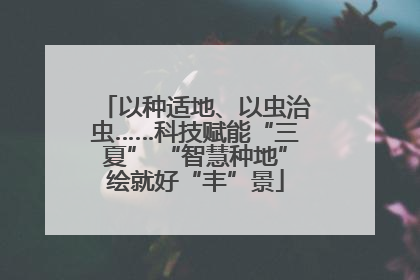 以种适地、以虫治虫……科技赋能“三夏” “智慧种地”绘就好“丰”景