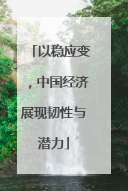 以稳应变，中国经济展现韧性与潜力