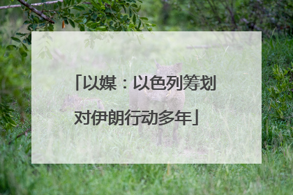 以媒：以色列筹划对伊朗行动多年