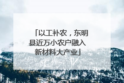 以工补农，东明县近万小农户融入新材料大产业