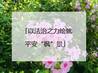 以法治之力绘就平安“枫”景