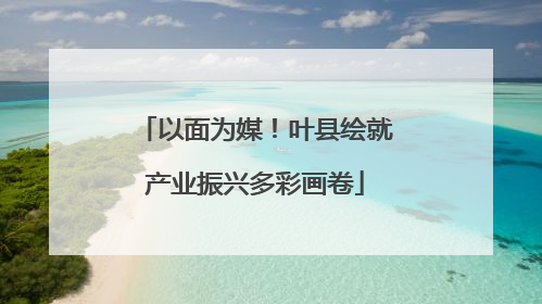 以面为媒！叶县绘就产业振兴多彩画卷