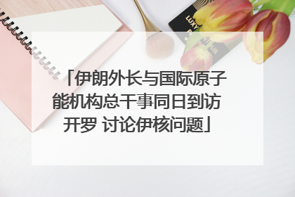 伊朗外长与国际原子能机构总干事同日到访开罗 讨论伊核问题
