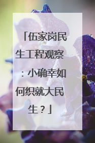 伍家岗民生工程观察：小确幸如何织就大民生？