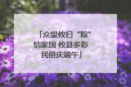 众望攸归“粽”情家国 攸县多彩民俗庆端午