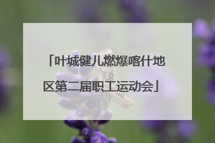 叶城健儿燃爆喀什地区第二届职工运动会