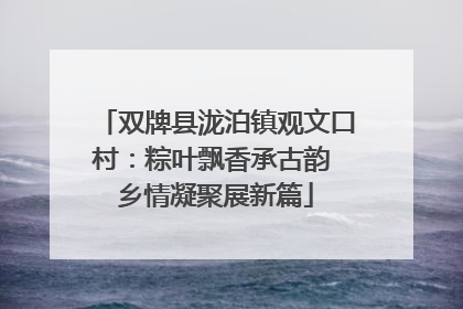 双牌县泷泊镇观文口村：粽叶飘香承古韵 乡情凝聚展新篇
