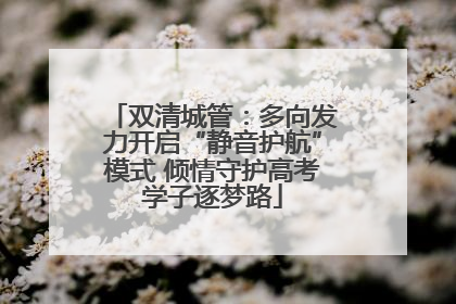 双清城管：多向发力开启“静音护航”模式 倾情守护高考学子逐梦路