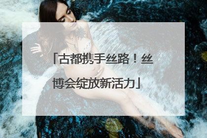 古都携手丝路！丝博会绽放新活力