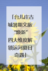 台儿庄古城暑期文旅“焕新” 四大维度解锁运河夏日奇遇