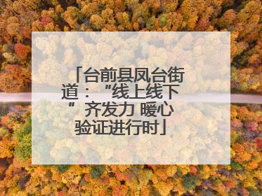 台前县凤台街道：“线上线下”齐发力 暖心验证进行时