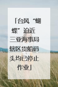 台风“蝴蝶”迫近 三亚海事局辖区货船码头均已停止作业