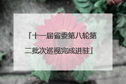 十一届省委第八轮第二批次巡视完成进驻