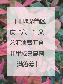 十堰茅箭区庆“六一”文艺汇演暨五育并举成果展圆满落幕