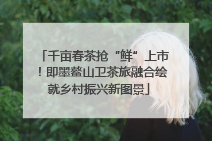千亩春茶抢“鲜”上市！即墨鳌山卫茶旅融合绘就乡村振兴新图景