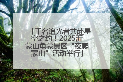 千名追光者共赴星空之约！2025沂蒙山龟蒙景区“夜爬蒙山”活动举行