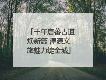 千年唐蕃古道焕新篇 湟源文旅魅力绽金城