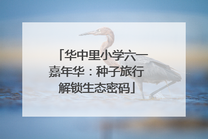 华中里小学六一嘉年华：种子旅行解锁生态密码