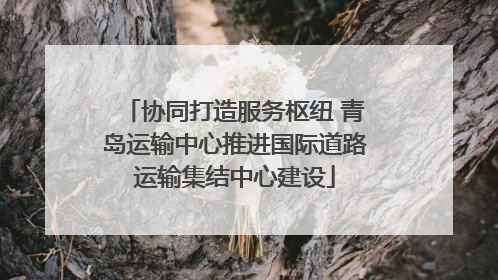 协同打造服务枢纽 青岛运输中心推进国际道路运输集结中心建设
