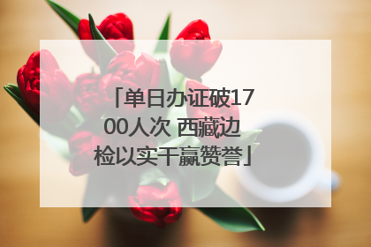 单日办证破1700人次 西藏边检以实干赢赞誉