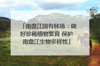 南盘江国有林场：做好珍稀植物繁育 保护南盘江生物多样性
