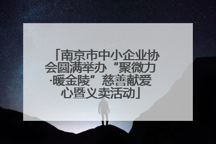 南京市中小企业协会圆满举办“聚微力·暖金陵”慈善献爱心暨义卖活动