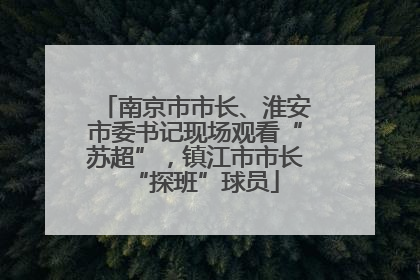 南京市市长、淮安市委书记现场观看“苏超”，镇江市市长“探班”球员