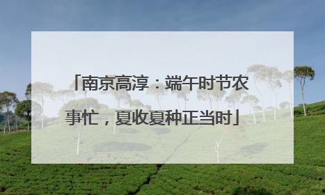 南京高淳：端午时节农事忙，夏收夏种正当时
