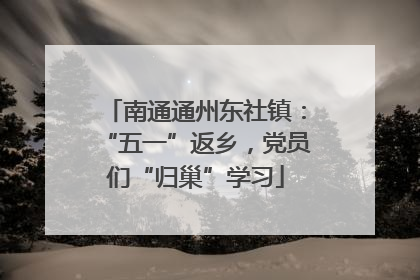 南通通州东社镇：“五一”返乡，党员们“归巢”学习