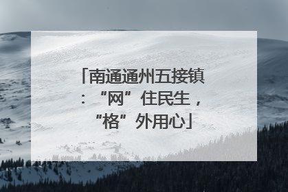 南通通州五接镇：“网”住民生，“格”外用心