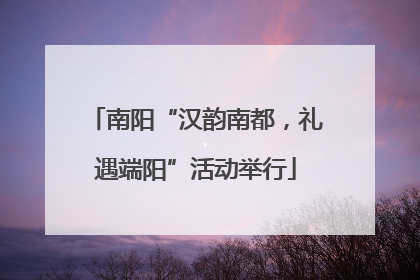 南阳“汉韵南都，礼遇端阳”活动举行