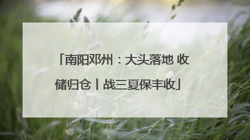 南阳邓州：大头落地 收储归仓丨战三夏保丰收