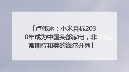 卢伟冰：小米目标2030年成为中国头部家电，非常期待和美的海尔并列