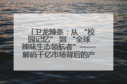 卫龙辣条：从 “校园记忆” 到 “全球辣味生态领航者”——解码千亿市场背后的产品创新与全链路破圈