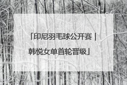 印尼羽毛球公开赛｜韩悦女单首轮晋级