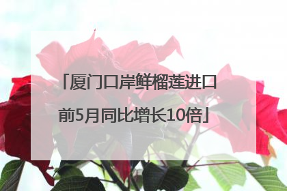 厦门口岸鲜榴莲进口 前5月同比增长10倍
