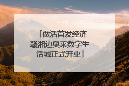 做活首发经济 赣湘边奥莱数字生活城正式开业