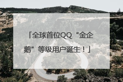 全球首位QQ“金企鹅”等级用户诞生！