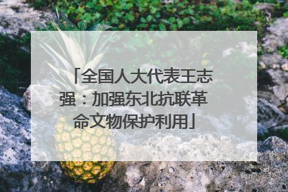 全国人大代表王志强：加强东北抗联革命文物保护利用