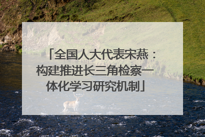 全国人大代表宋燕：构建推进长三角检察一体化学习研究机制