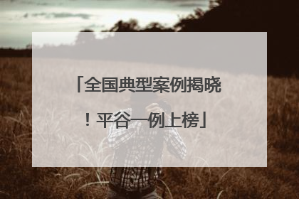 全国典型案例揭晓！平谷一例上榜
