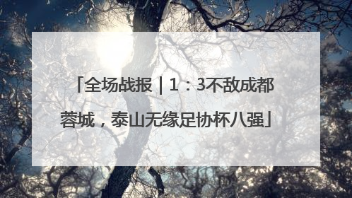 全场战报｜1：3不敌成都蓉城，泰山无缘足协杯八强