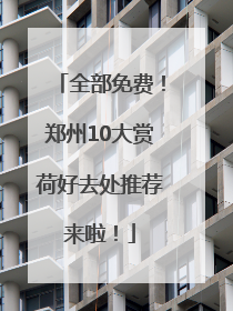 全部免费！郑州10大赏荷好去处推荐来啦！