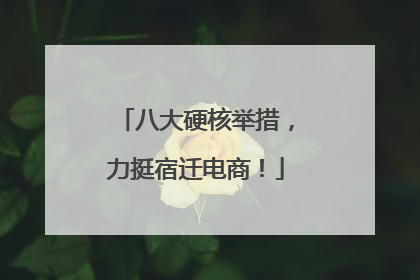 八大硬核举措，力挺宿迁电商！