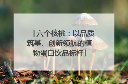 六个核桃：以品质筑基、创新领航的植物蛋白饮品标杆