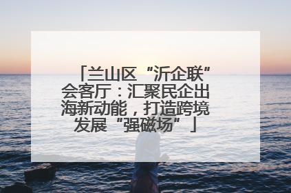 兰山区“沂企联”会客厅：汇聚民企出海新动能，打造跨境发展“强磁场”