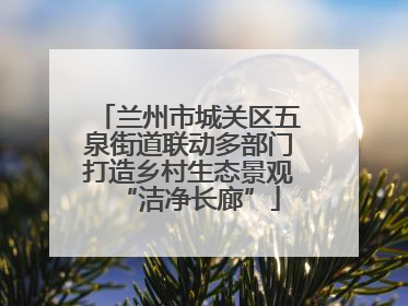 兰州市城关区五泉街道联动多部门打造乡村生态景观“洁净长廊”