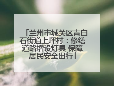 兰州市城关区青白石街道上坪村：修缮道路增设灯具 保障居民安全出行