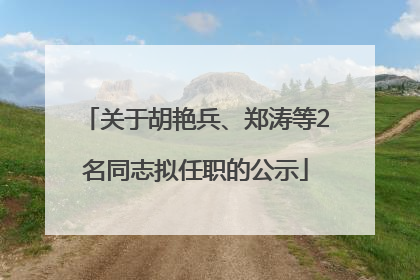 关于胡艳兵、郑涛等2名同志拟任职的公示