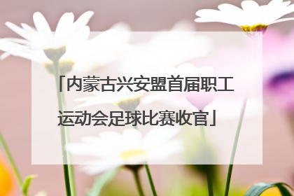 内蒙古兴安盟首届职工运动会足球比赛收官
